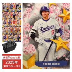 Jリーグオフィシャルトレーディングカード 121 香川真司 セレッソ大阪 Jリーグオフィシャルトレーディングカード 121 香川真司 セレッソ大阪
