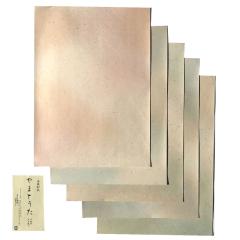 ���� �����p�i ������ ���ȗp���� ��܂Ƃ��� 5�� 5�F�Z�b�g ���� ���Ȕ��� �������� �������� �ɂ��܂Ȃ� �����p���� �׎��p �Տ�