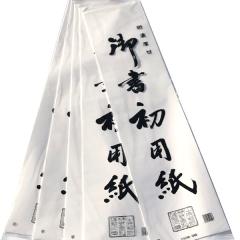 ���� �����p�� �O���� 100��(20���|������~5��) ����(���蔼���u��e�v�Ɠ�����)���� ������ �������ߗp�� �傫�ȏK������ �h��p