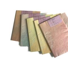 �n�����菑���������� �F��历 ���� 1�F�~10�� ���ȗp  ���H���e �O�F�S�̂ڂ����E���⍻�q�E�ӕ��^�� �i�ԁF508GBG