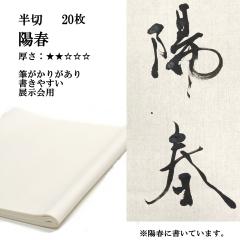 ���� �荗�� ��历 �z�t ���� 20�� �����p ���� �g���v�ɋ߂��� �荗����历 �� �����p�i �����p�� �W�� ���� ��i ��������