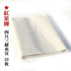 �g���v �l�� �O�w���  ���� (350�~1380mm) 10�� �����p�� �荗�� ��历 �l�ښ�� ��� �� �{��� �����p ���� �����p�i ��i ���� ��