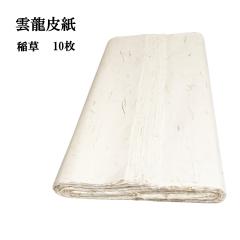 �荗�� �_���玆 �A���@�ۓ� ���t�� �S�� 1�Z�b�g 10�� �����p 