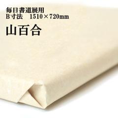 �荗��历 ���ȗp �R�S�� ���������W B���@ 1510�~720mm  �P�� 50�� 