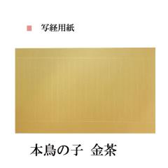 �ʌo�p�� �{���̎q�� ���� 280�~454mm 1��5���� �i��:AK41-8 �ʌo �����p�i ������e-shop