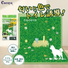 Cocoyo irV[g EgCh ŐybgV[g 唻 90~120cm 6/