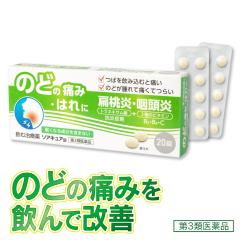 y3ވiz \ALA 20 ViHƁ@A̒ɂ ̂ǂ̒ɂ  glLT_ ގÖ G   s̖