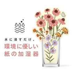 odecomart y[p[iFLOWERj