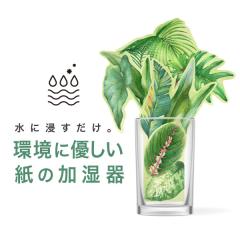 odecomart y[p[iGREENj GR { dCsv   ItBX q  y[p[ GRW[ 