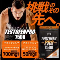 FINESPORTS �e�X�g�t�F���v��7500 30��10���� ���Y �{�f�B���C�N�n�T�v�� �e�X�g�t�F�� �t�F�k�O���[�N��q �A�X�g���W�� �T�v�������g 