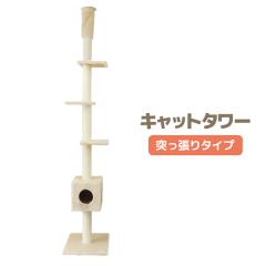 Lbg^[ ˂^Cv L^[ ܂Ƃ uE lR񖞑 Lbgh V˂  ˂^[ ybg ˂^[ 