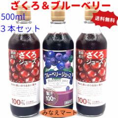 �����끕�u���[�x���[ �ʏ`100�� �W���[�X�Z�b�g (������W���[�X 500ml�~2�{�j�i�u���[�x���[�W���[�X 500ml�~1�{�j �������� �t���[�c