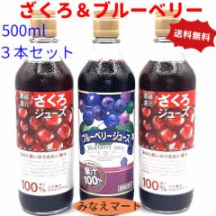 끕u[x[ ʏ`100 W[XZbg (W[X 500ml~2{jiu[x[W[X 500ml~1{j  t[c