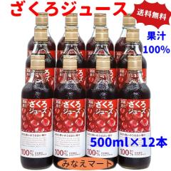 ������W���[�X 500ml�~12�{�� �ʏ`100�� �Z�k�Ҍ� ���Y�� �������� ��c�n�j�[ ������ �ʎ�����  �U�N���W���[�X �t���[�c�W���[�X �\�t