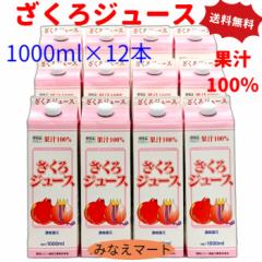  ʏ`100 W[X p1000ml ~PQ{  cnj[ Y ZkҌ ʏ` ʎ ў։ʏ` gˉ U