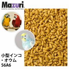 マウス・ラット・ハムスター用MF(基礎飼料) 500g 小動物フード メール