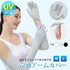 A[Jo[ btA[Jo[  wlUV O  ubN [֑ ⊴ Ђ TT N[A[Jo