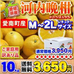 ���Q�����쒬�Y �͓��ӊ� 10kg M�`2L�T�C�Y �ƒ�p �󂠂�