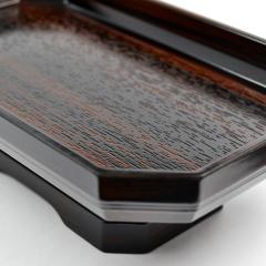 OkTCY  04 h vX`bN nwp 8.0 SGI SOKA