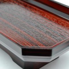 OkTCY  05 h vX`bN nwp 8.0 SGI SOKA