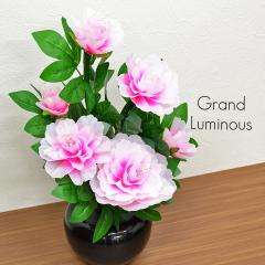 Oh~iX 06 {^ SO kdc dR[h^Cv ~ ~傤 U 