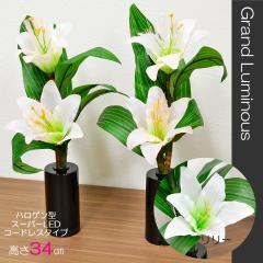 Oh~iX 07 [ RS kdc R[hX^Cv dr ~ ~傤 U 