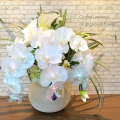 Oh~iXAWgt[ G} ʂ̉ dR[h 026 Ӓ 52cm~50cm~s45cm LED ~ ~傤