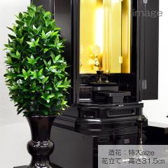 ���Ԃ�������/����T�C�Y/1�{/�n���w��p/�l�H������/����/�S���W�W����/��/�V�L�~/������/SGI�ESOKA