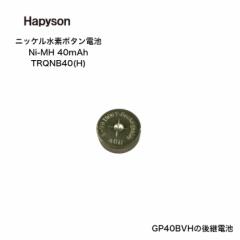 Hapyson �n�s�\�� �\�[���[�e�[���p�j�b�P�����f�d�r Ni-MH 40mAh TRQNB40(h)  �{�^���d�r GP40BVH ��p���f��