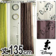 h[vJ[e@Disney@fBYj[@~bL[@gEBbO[t@100~135cm@X~mG i  fBYj[ B~bL[ Ռ 