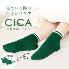 �����ƃP�A�C�� �����ƃP�A �\�b�N�X �C�� cica �V�J ���� ������ ���w �w�� �p�b�N �����Ƃ�� ���� CICA�����z�� �����ێ��\�b�N�X