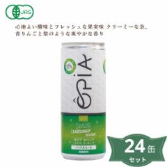 3004164-os OPIAVhl Xp[NOI[KjbNmAR[(CeCXg)250ml~24{ZbgypVtBbNmsz