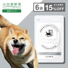 �y�R�c�{�I��z���������p�O���R�T�~�� 60�����~6�܁y15���������i�z���p �y�b�g �T�v�������g �T�v�� ���N�⏕�H�i ���� ����7������