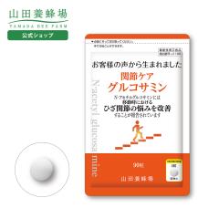 �R�c�{�I�� �֐߃P�A �O���R�T�~�� 90��/�ܓ� �M�t�g �v���[���g �T�v�������g �h�{�@�\�H�i ���N�H�i ���N �l�C �������� ��̓�