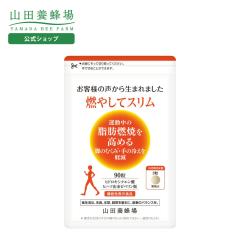 �R�c�{�I�� �R�₵�ăX���� 90�� �ܓ�  �M�t�g �v���[���g �T�v�������g �@�\���\���H�i �l�C ���N ��̓�