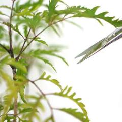 �����Y�� ��g GARDEN�V�U�[ �� �X�g���[�g