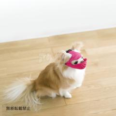 OPPO quack face S �s���N �I�b�| �N�@�b�N�t�F�C�X ����