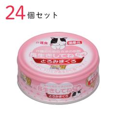 �L���b�g�t�[�h ���̂��߂̂��܂̓`�� ���������Ă˂��� 70g 24�Z�b�g ���Y �L�� �ʋl