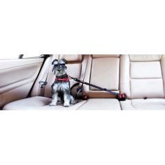 ���p �V�[�g�x���g EZYDOG �C�[�W�[�h�b�O �N���b�N �u���b�N