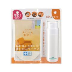 ���������V�ڂ��B�L�p�������Z�b�g ���e��:40g