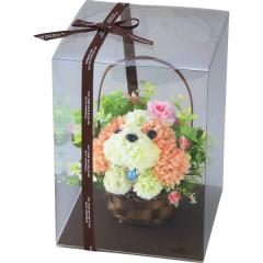 ���̓� �v���[���g �M�t�g �������� ������ �䒆�� 2026 �M�t�g ���� �c�� 2026 �������� �M�t�g �v���[���g ���� �t�����[�p�s�[ �V�[�Y