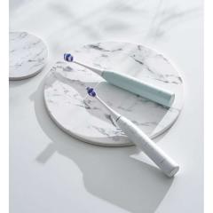 ���w �V���� �t �G�[�� ���� ��̓� �v���[���g �M�t�g  2026 �������� �M�t�g �v���[���g �n���J�` �p�i�\�j�b�N ���g�U���n�u���V �h��