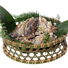 �z���C�g�f�[ ���Ԃ� �l�C �v�` ���� ���w �L�O�i �v���[���g ���j �������� ���� �O���� �Y�n���� �Z���^�[ �X�C�[�c ���y�y�� �_��