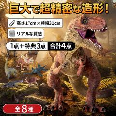 �yNEW�b�|�C���g10�{�z�y1�_�w����4�_���͂��z���� �t�B�M���A �������� �l�` �e�B���m�T�E���X �a���� �q�� �v���[���g ��^ ���H���� 