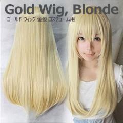 紳士用全かつら 地肌付き 人工肌 自然な仕上がり ドライヤー対応