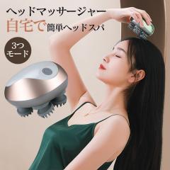 IKKOプロデュース ポケットマジック エレノアブラシ 通販王 日テレ