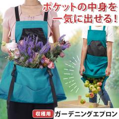 �V�� �|�P�b�g�̒��g����C�ɏo����I �����^�b�` �x���g �o�b�N�N���X ���� �K�[�f�j���O�G�v���� �G�v���� ���n �K�[�f���G�v���� ���n