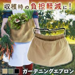 �V�� ���n�p�|�P�b�g�V���[�g�K�[�f�j���O�G�v���� �G�v���� ���n �K�[�f�j���O�G�v���� �K�[�f���G�v���� ���n�G�v���� ���G�v���� �G�v