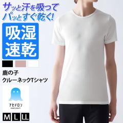 �V�� GUNZE �A�Z�h���� ���̎q �z������ �����Y ���� �N���[�l�b�N �C���i�[ T�V���c MCA713 �C���i�[�V���c ���� ���� �O���[ �R�� �h�L