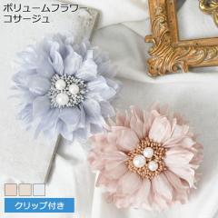 V {[t[NbvtRT[W fB[X  w p[ tFCNp[ Ǝ q tH[}  u